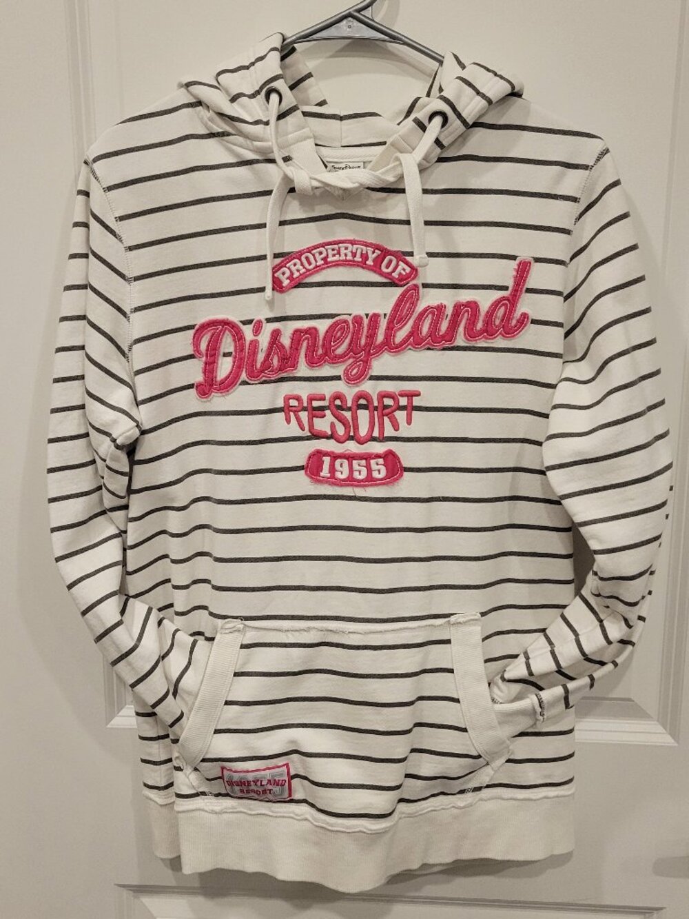 Disneyland Lightweight Hoodie with applique